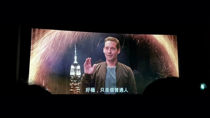 三代蜘蛛侠同框