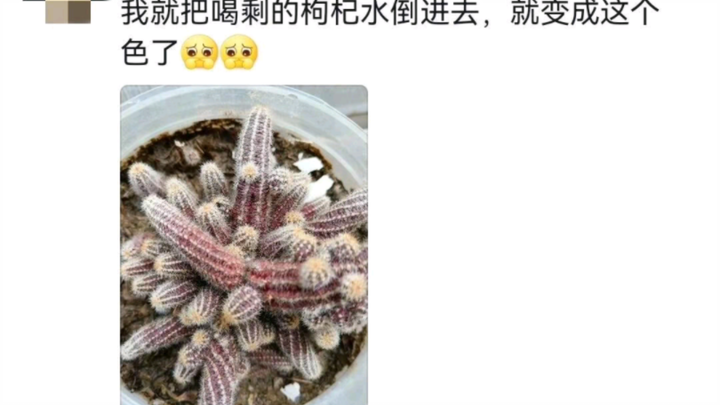Giây phút này cảm nhận được sự bất lực của cây cối 😊😊