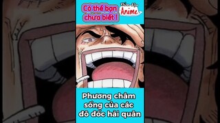 Phương châm sống của các đô đốc hải quân #onepiece #shorts