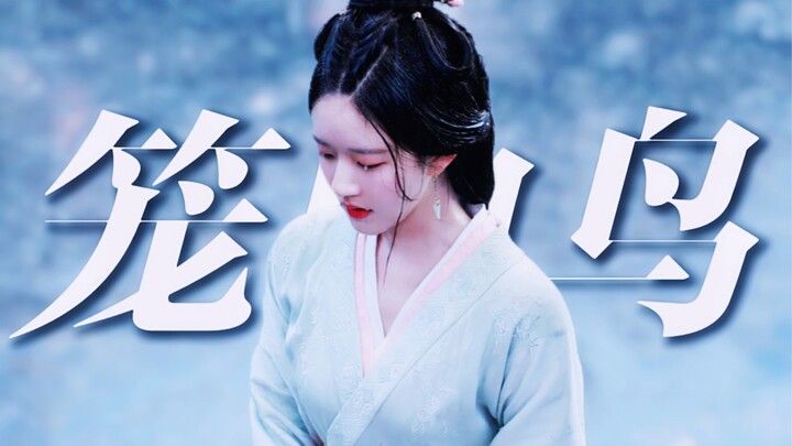Tôi có điên không? Tôi thấy tâm hồn cô ấy đang giãy giụa điên cuồng, rên rỉ giữa những dòng chữ!