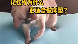 乳胶、椰棕床垫是怎么制作的，为什么记忆绵更适合做床垫？