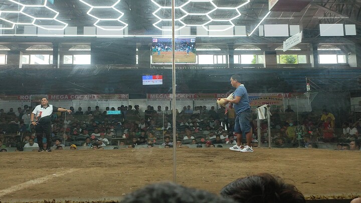 2ND champion 5Cock Finals Roligon Mega Cockpit 6/16/2025