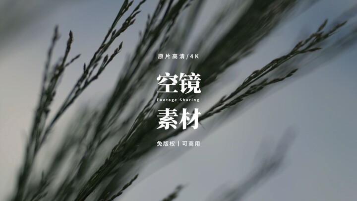 【免版权空镜】“Return to dust ”