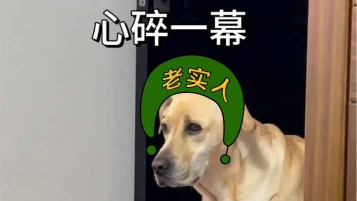 Turn around and walk away, words stuck in my throat.