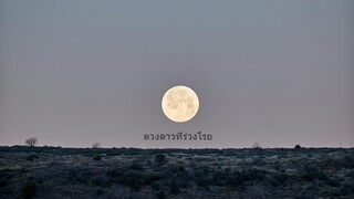 ดวงดาวที่ร่วงโรย