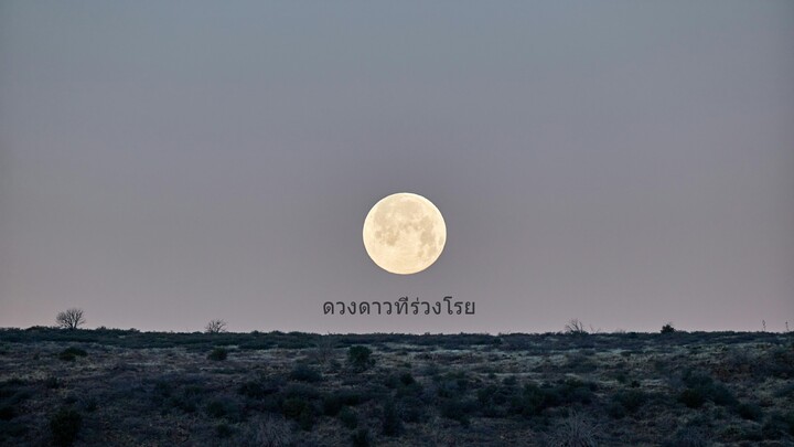 ดวงดาวที่ร่วงโรย