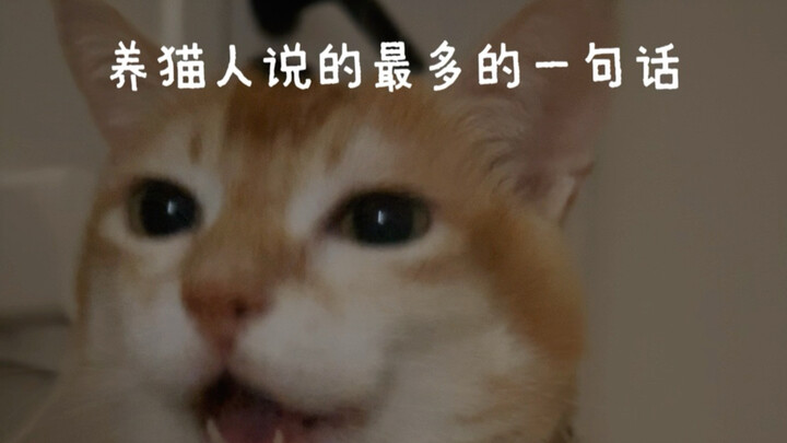 Bạn muốn làm gì vậy? Nói đi chứ!
