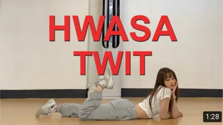 [华莎(HWASA) - TWIT] 搬运 舞蹈翻跳 dance cover 镜面版
