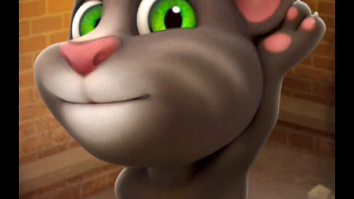 Kucing Chuo-mu-ku