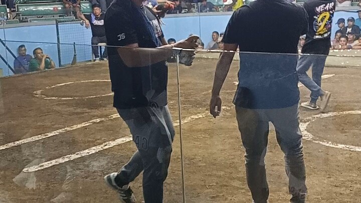 galing sana ng manok ni bayaw akala namin panalo na ung pula ang amin