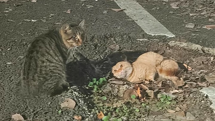 Nonagenarian? No way—he’s already...