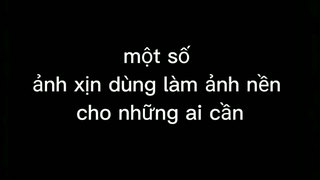 ảnh làm hình nền đẹp cho những ai cần