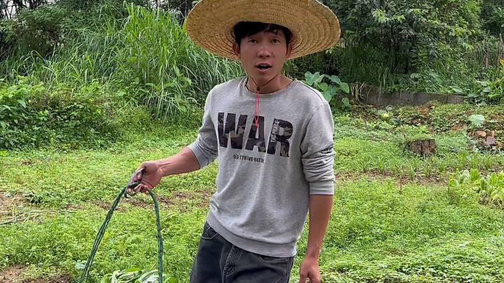 Selanjutnya, warga Guangxi mulai makan sayur ong...