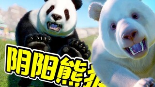 极品白熊猫，你们见过吗？太可爱了！