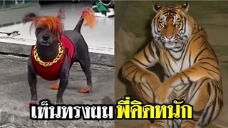 เจอแบบนี้ เสืออย่างพี่ นี่คิดหนักเลย !! #รวมฮาพากย์ไทย