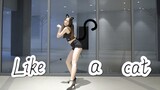 [DANCECOVER] Vũ đạo phòng tập 'Like a cat' -AOA