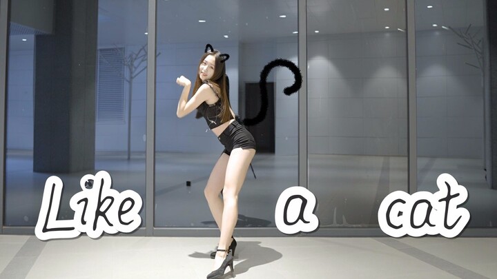 AOA - 'Like A Cat' Dance Cover | Here Is Your Little Kitten