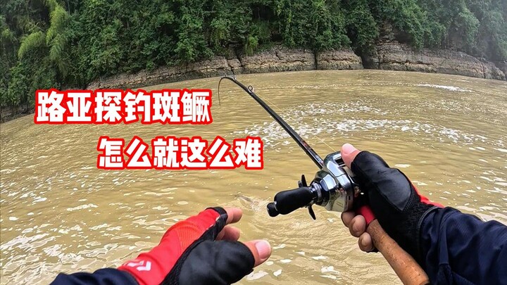 路亚探钓斑鳜 怎么就这么难