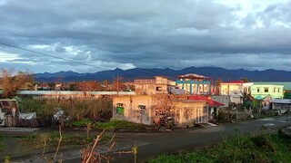 Blessed morning 🌅