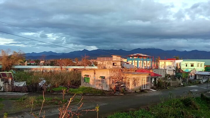 Blessed morning 🌅