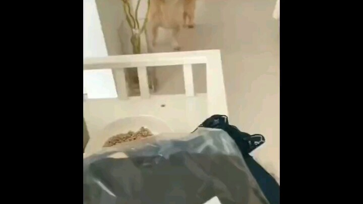 养不熟还煮不熟嘛