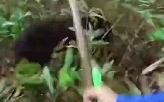 Gặp phải tình huống này ngoài tự nhiên thì phải làm sao?