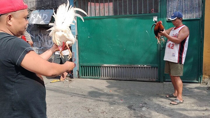 3-0 ubos manok nung dayo 🤣🤣🤣