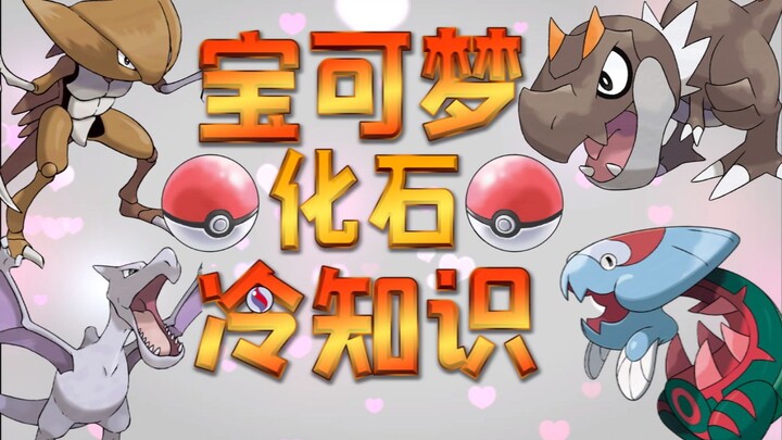 [Black Cat] Pokémon Trivia! Is it the most criticized fossil? The Fossilized Helm urban legend!