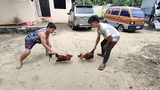 spar Muna Tayo.