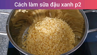 Làm sữa đậu xanh lá dứa
