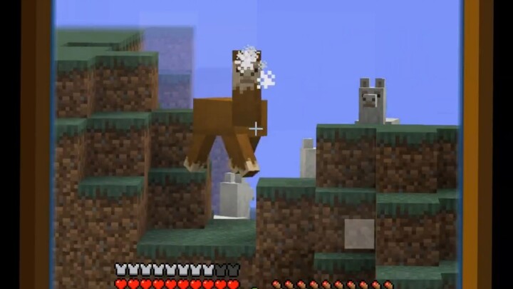 The sheep and the horse are in trouble!