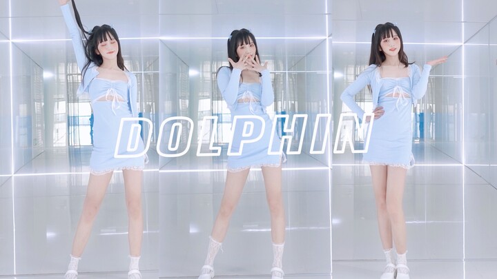 Electric Little Dolphin Hits You 💙 Dolphin – Refreshing and Healing [Tong Talks]