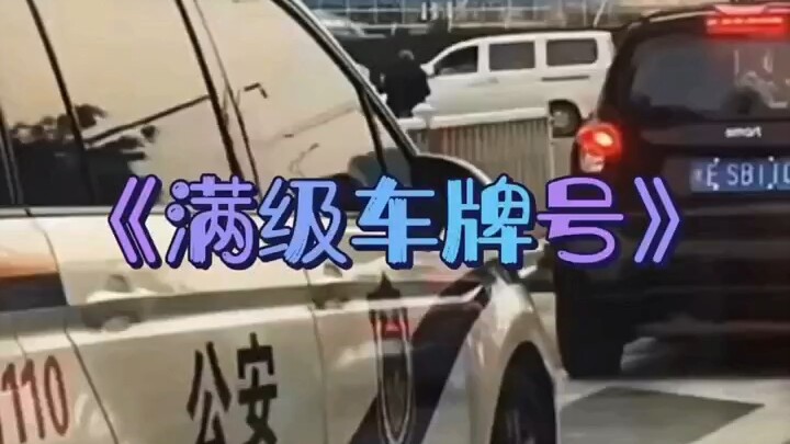 ป้ายทะเบียนรถเลเวลสูงสุด