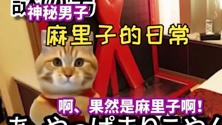 [Subtitled] Uncle comes to find Mariko to play Apex | Cat meme