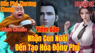 Đấu Phá Thương Khung Phần 8 Tập 37 | Viêm Trẩu Nhận Con Nuôi | Đến Tạo Hóa Động Phủ | 15 phút review