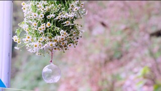 Summer Wind episode 03 in Hindi dubbed.