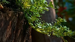 Relax yourself in 9seconds😊