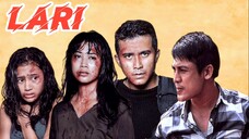 Lari 2013