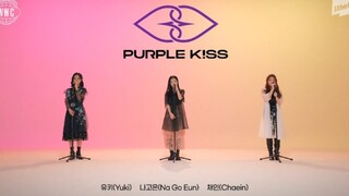 即将出道的MAMAMOO师妹团PURPLE K!SS的Vocal实力！