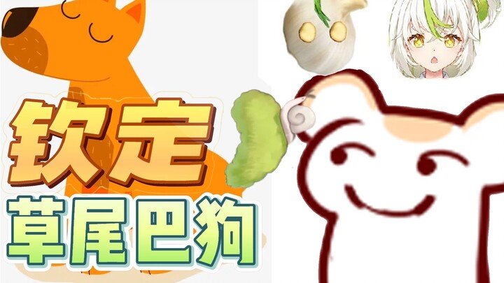 [Chuột lang Bison & cơm bảy đuôi nhỏ] Chuột mẹ ra lệnh cho chó đuôi cỏ