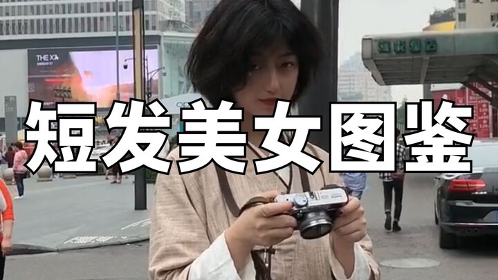 短发美女图鉴