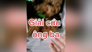 con đã cứu ba một bàn thua trông thấy 😆 HatDe TeamHatDe Mas ThuCung doglover dogsoftiktok dogtraining 강아지 멍멍이