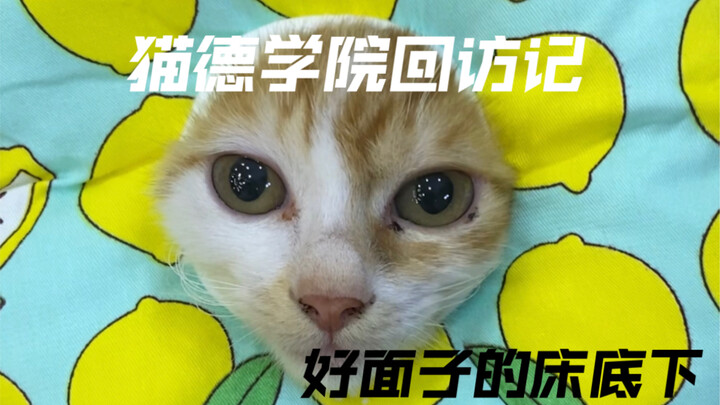 บันทึกการเยี่ยมกลับของวิทยาลัยเหมาเต๋อ – ใต้เตียงผู้รักหน้าตาเป็นชีวิตจิตใจ