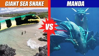 Giant Sea Snake vs Manda | SPORE