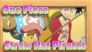 [One Piece] Luffy Always Put the Straw Hat Pirates in Food Crisis Naturally!
