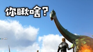 方舟4：确认过眼神 遇上沙雕的龙