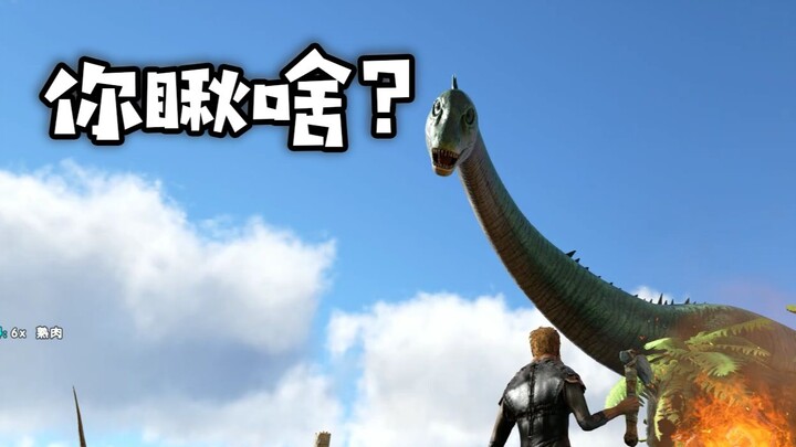 Ark 4: Eye Contact Confirmed—Encountering a Silly Dragon