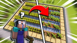 Replace the mature wheat in players' homes with grass! Player: Is this a new variety or something???