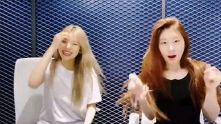 Cover & dance siaran langsung terbaru ITZY Huang Liji & Li Cailing dari BLACKPINK＜Forever Young>, sa