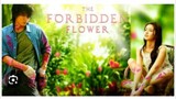 THE FORBIDDEN FLOWER Episode 18 Tagalog Dubbed